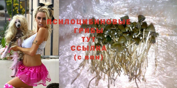 тгк Надым