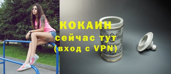 мдпв Михайловск