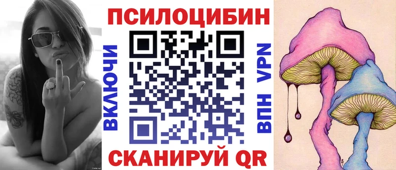 Галлюциногенные грибы Psilocybine cubensis Кашин