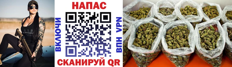 Каннабис план  Кашин 